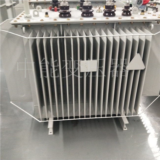 娄底S20-800KVA变压器