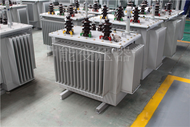 娄底S22-250KVA/10KV变压器